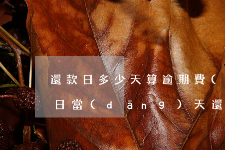 還款日多少天算逾期費(fèi)(到期還款日當(dāng)天還款算逾期嗎)