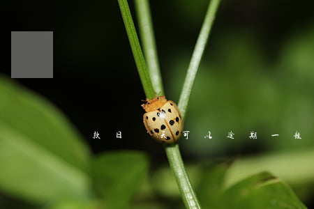 還款日幾天可以逾期(一般還款可逾期幾天)