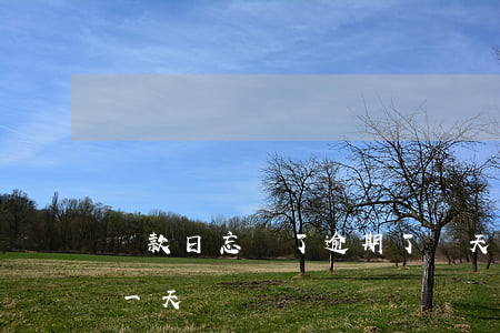 還款日忘記了逾期了幾天(逾期還款之日是哪一天)
