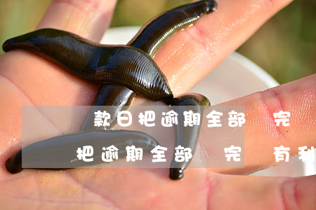 還款日把逾期全部還完還有利息嗎-還款日把逾期全部還完還有利息嗎多少