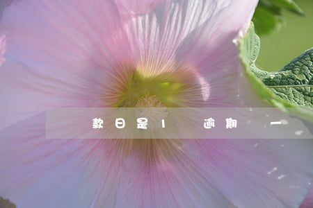 還款日是1號逾期嗎(一號還款日2號還逾期嗎)
