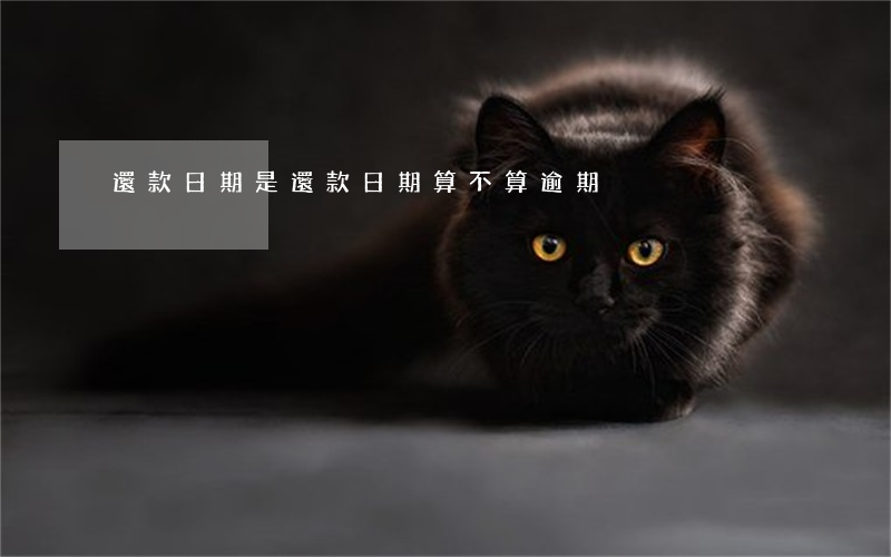 還款日期是（還款日期算不算逾期）