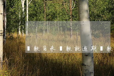 還款日未還款就逾期(還款后仍顯示逾期)