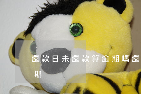 還款日未還款算逾期嗎(還款日還款算不算逾期)