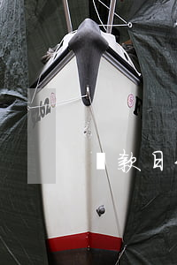 還款日未還算逾期嗎(還款日還款算不算逾期)