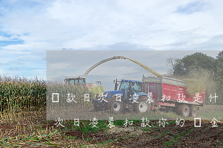 還款日次日凌晨扣款是什么意思，解讀“還款日次日凌晨扣款”：你的資金何時會安全到賬？