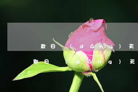 還款日當(dāng)天能算逾期嗎(還款到期日當(dāng)天還款算逾期嗎)