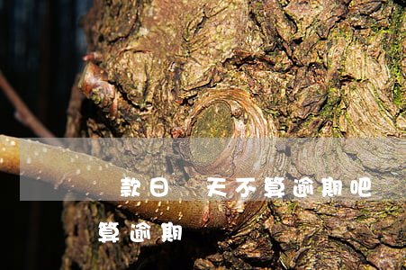 還款日當天不算逾期吧(還款到期日當天還款算逾期嗎)