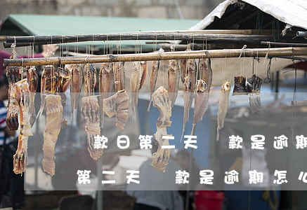 還款日第二天還款是逾期怎么辦理-還款日第二天還款是逾期怎么辦理手續(xù)