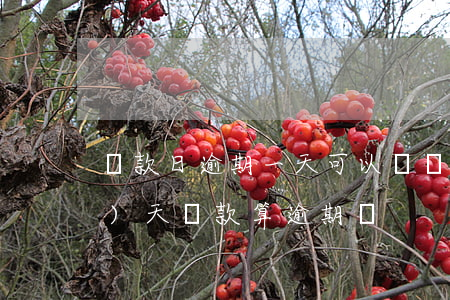 還款日逾期一天可以嗎(還款日當(dāng)天還款算逾期嗎)