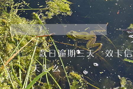 還款日逾期三天無效卡(信用卡還款日超了三天怎么辦)