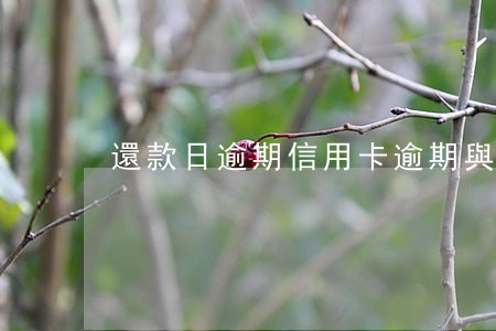 還款日 逾期（信用卡逾期與還款日）
