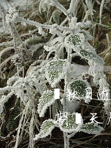 還款日逾期兩天后還款有影響嗎-還款日逾期兩天后還款有影響嗎