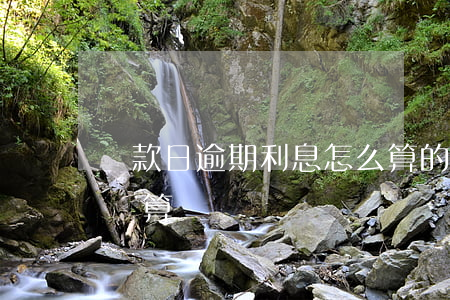 還款日逾期利息怎么算的(逾期還款利息如何計算)