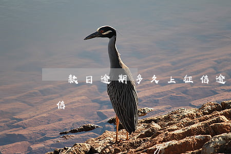 還款日逾期多久上征信(逾期幾天還款影響征信)