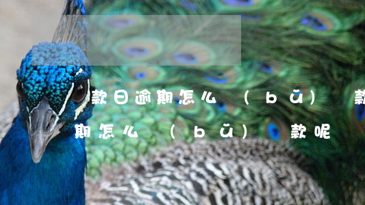 還款日逾期怎么補(bǔ)還款呢(還款日逾期怎么補(bǔ)還款呢)