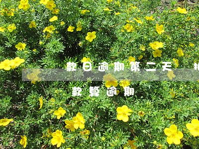 還款日逾期第二天會扣嗎(最后還款日第二天還款算逾期嗎)