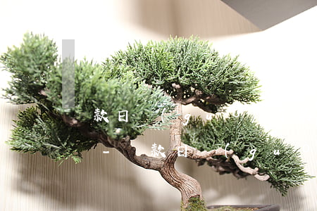 還款日過(guò)了第三天怎么辦算逾期嗎-還款日過(guò)了第三天怎么辦算逾期嗎