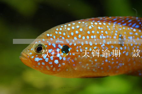 還款日過一天算逾期(還款日過一天算逾期)