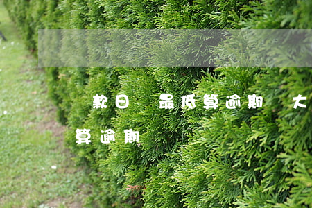 還款日還最低算逾期嗎(大于最低還款額還款算逾期嗎)