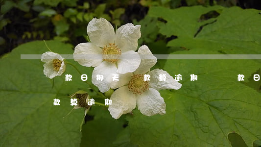 還款日那天還款算逾期嗎(還款日最后一天還款算逾期嗎)
