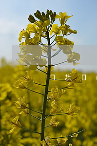 還款時(shí)間長的貸款平臺(tái)