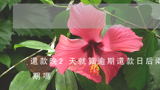 還款晚2天就算逾期(還款日后兩天還款算逾期嗎)