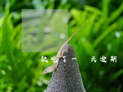 還款晚了一兩天逾期(還款晚了一兩天逾期)