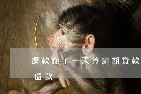 還款晚了一天算逾期(貸款晚一天還款算逾期還款)