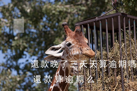 還款晚了三天天算逾期嗎(還款日過了三天才還款算逾期么)