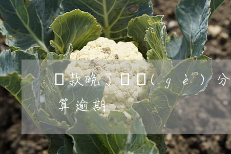 還款晚了幾個(gè)分鐘算逾期(還款幾天算逾期)
