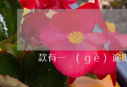 還款有一個(gè)逾期怎么辦
