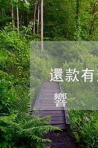還款有逾期影響貸款嗎(還貸逾期會有什么影響)