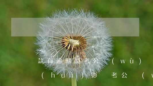 還款有逾期能考公務(wù)員么(逾期還款會(huì)影響考公務(wù)員嗎)