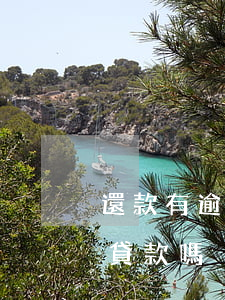 還款有逾期能貸款么(貸款逾期還完了還可以貸款嗎)