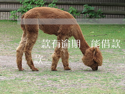 還款有逾期還能借款嗎(貸款有過逾期還能貸款嗎)