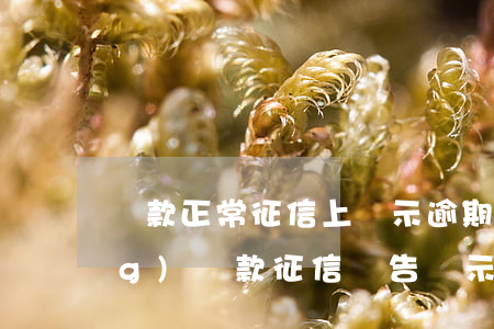 還款正常征信上顯示逾期(明明已經(jīng)還款 征信報告顯示逾期)
