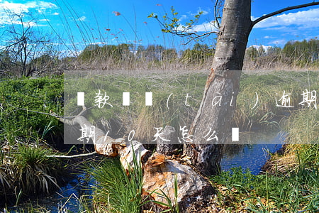 還款狀態(tài)逾期1-30天(還款逾期10天怎么辦)