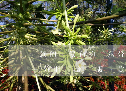 還款的時候有的顯示分期樂商業(yè)版-分期樂商戶版還款