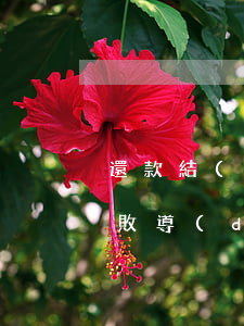 還款結(jié)束后卻被告知逾期(還款失敗導(dǎo)致逾期)