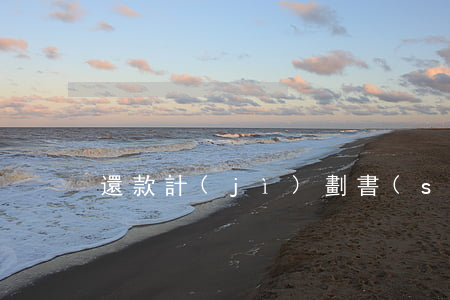 還款計(jì)劃書(shū)文本