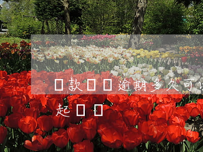 還款計劃逾期多久可以起訴(有還款計劃書能起訴嗎)