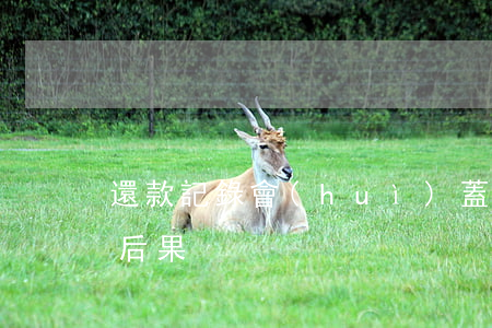 還款記錄會(huì)蓋住逾期嗎(還款逾期后果)