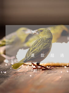 還款超過一天算逾期嗎(還款超一天會不會逾期)