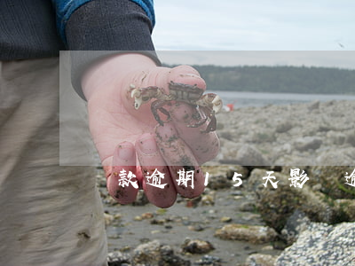 還款逾期15天影響(逾期5天影響大嗎)