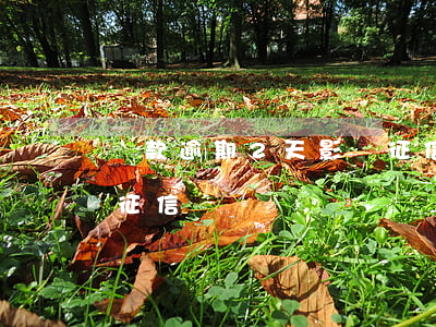 還款逾期2天影響征信嗎(還款逾期2天影響征信嗎)
