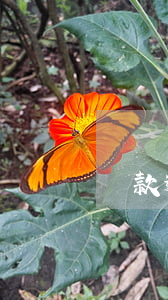 還款逾期3天影響征信嗎(征信逾期3天有影響嗎)