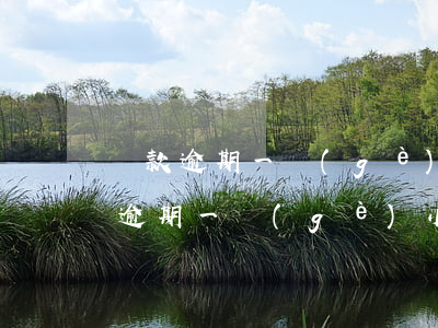還款逾期一個(gè)小時(shí)(還款逾期一個(gè)小時(shí)怎么辦)