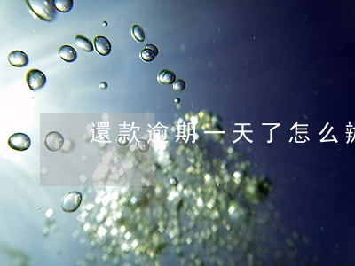 還款逾期一天了怎么辦(還款日逾期幾天)