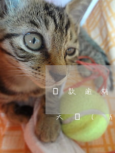 還款逾期一天會(huì)征信(還款逾期一天會(huì)征信)